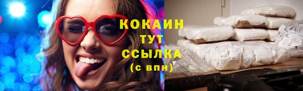 шишки Елизово