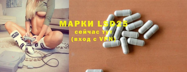 шишки Елизово