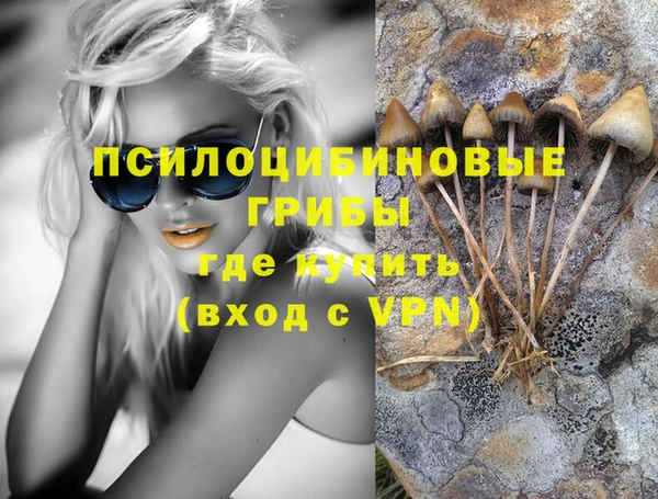 шишки Елизово