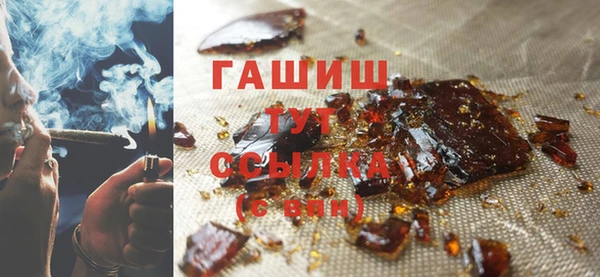 шишки Елизово
