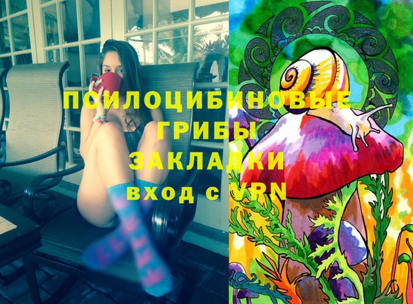 марки nbome Ельня
