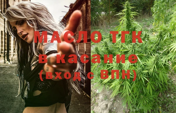шишки Елизово